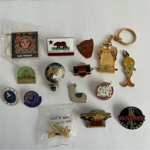 Assorted 14 Lapel Pins And 2 Key Chains Different Variety Please See All Pics